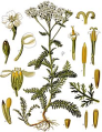Thumbnail for version as of 00:23, 30 March 2026